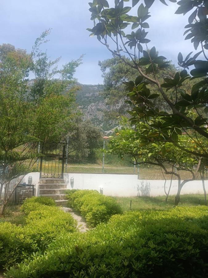 Summer Otel موجلا المظهر الخارجي الصورة